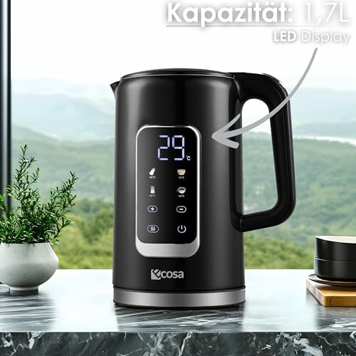 Edelstahl Wasserkocher mit Temperatureinstellung